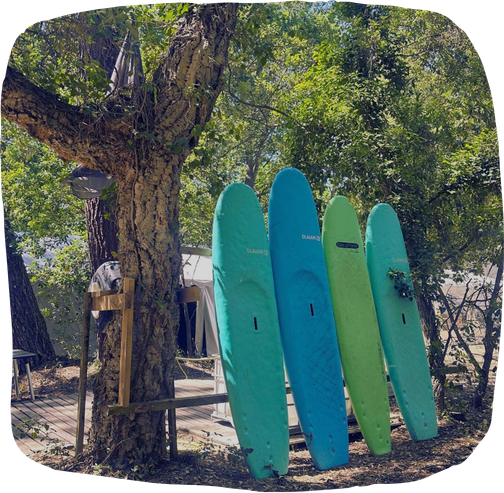 Activité kayak surf pour groupes scolaires à Vieux-Boucau